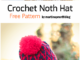 Crochet North Hat - Free Pattern