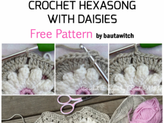 Crochet Hexagons With Daisies - Free Pattern