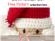 Crochet Santa Candy Jar For Christmas - Free Pattern