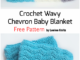 Crochet Wavy Chevron Stitch Baby Blanket - Free Pattern