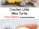 Crochet Little Miss Turtle - Free Pattern