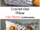 Crochet Owl Pillow - Free Pattern